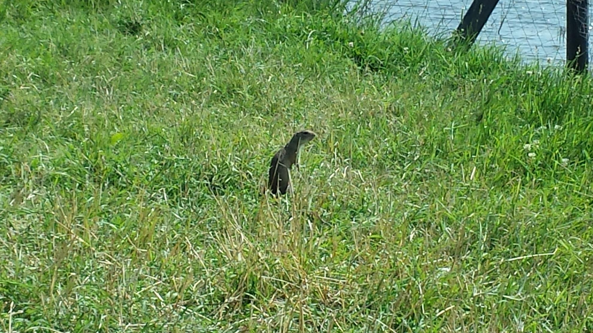 Pescuit 2014 - 20140609111326.jpg